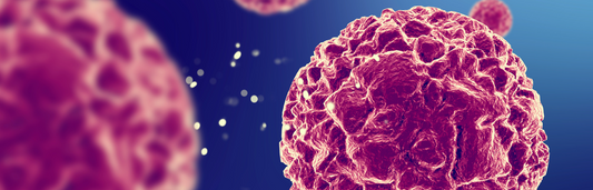 Virus del papiloma humano: todo lo que necesitas saber