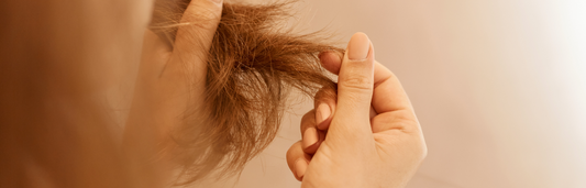 La caída del cabello en septiembre (parte 1)