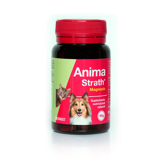 Stangest Anima Strath Magnesio, 120 Comprimidos