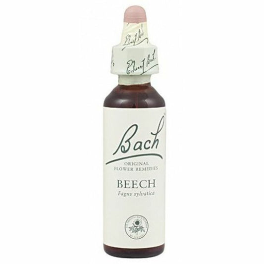 Bach Beech, 20 ml