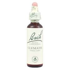 Bach Clematis 20 ml