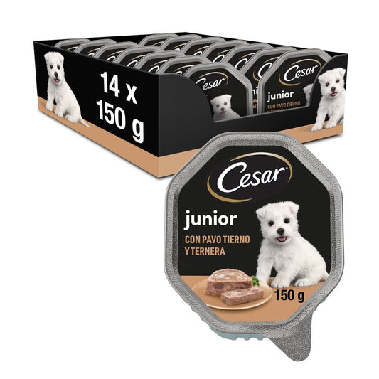 Cesar Canine Puppy 14X150Gr