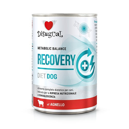 Disugual Diet Dog Recovery Cordero 6X400Gr
