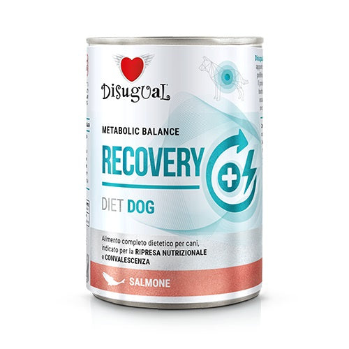 Disugual Diet Dog Recovery Salmon 6X400Gr
