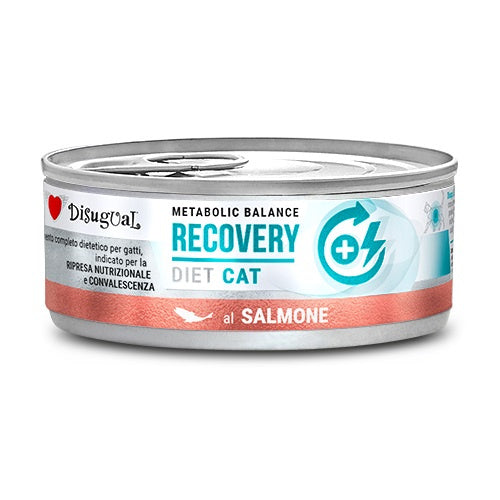 Disugual Diet Cat Recovery Salmon 12X85Gr