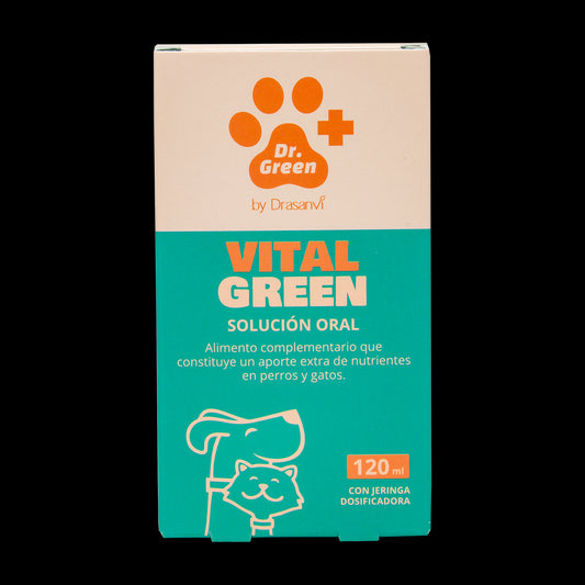 Drasanvi Drgreen Vitalgreen Solucion Oral , 120 ml