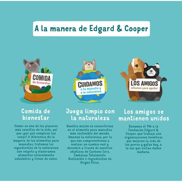 Edgar & Cooper Comida Húmeda Para Perros 6x400g Salmón Y Pavo, Manzana, Remolacha Y Mango