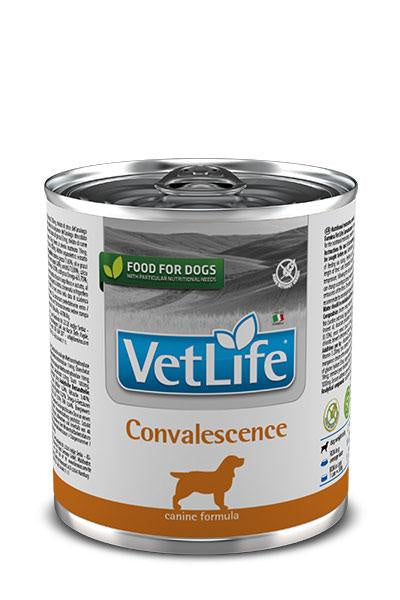 Farmina Vet Life Dog Convalescence Caja 6X300Gr, comida húmeda para perros