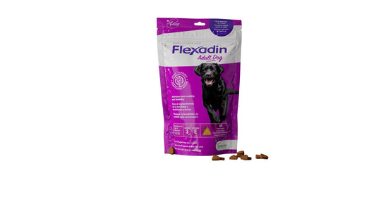 Flexadin Perros Adultos 60Cpd