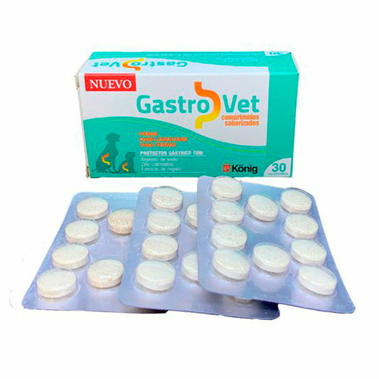 Gastrovet, 240 comprimidos