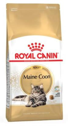 Royal Canin Adult Maine Coon 4Kg, pienso para gatos