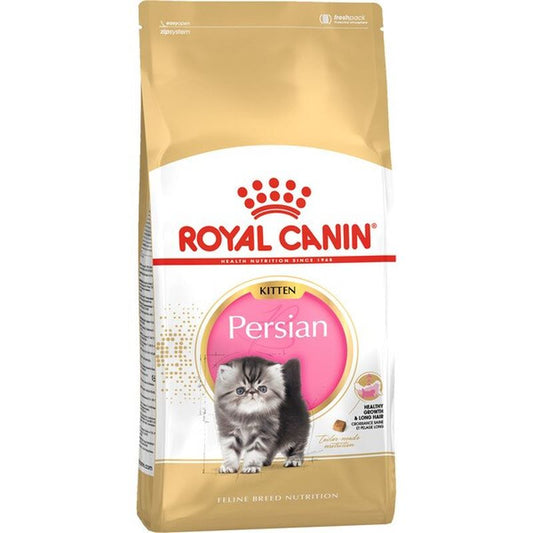 Royal Canin Kitten Persa 2Kg, pienso para gatos