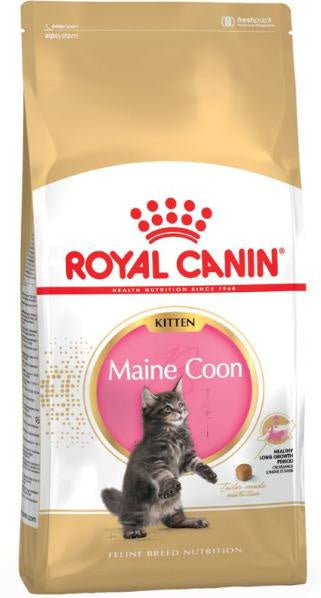 Royal Canin Kitten Maine Coon 4Kg, pienso para gatos