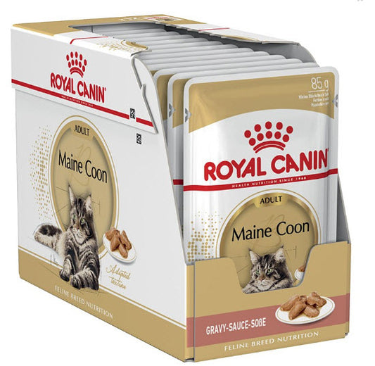 Royal Canin Adult Maine Coon Pouch Caja 12X85Gr, comida húmeda para gatos