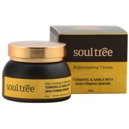 Soultree Crema Facial Regeneradora Curcuma Amla Bhrami 60Gr 