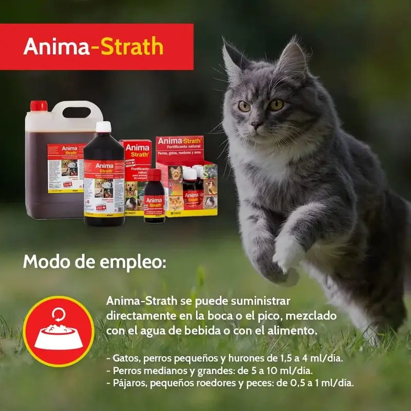 Stangest Anima Strath 250 Ml