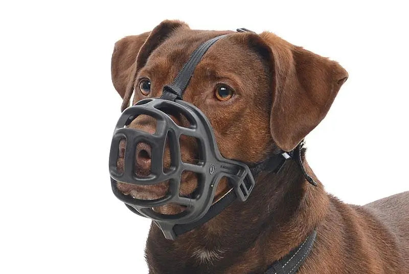 Bozal Buster Plastico Talla 5