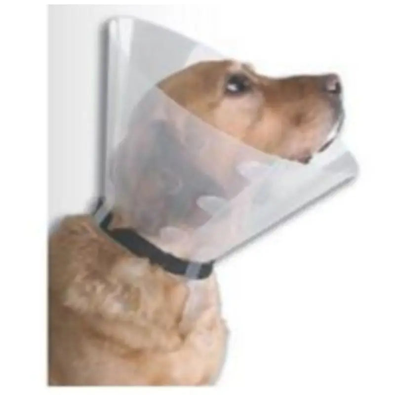 Buster Design Collar Isabelino De Construcción 10Cm, 10U