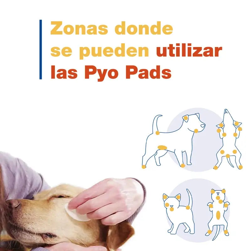 Douxo S3 Pyo, 30 Discos