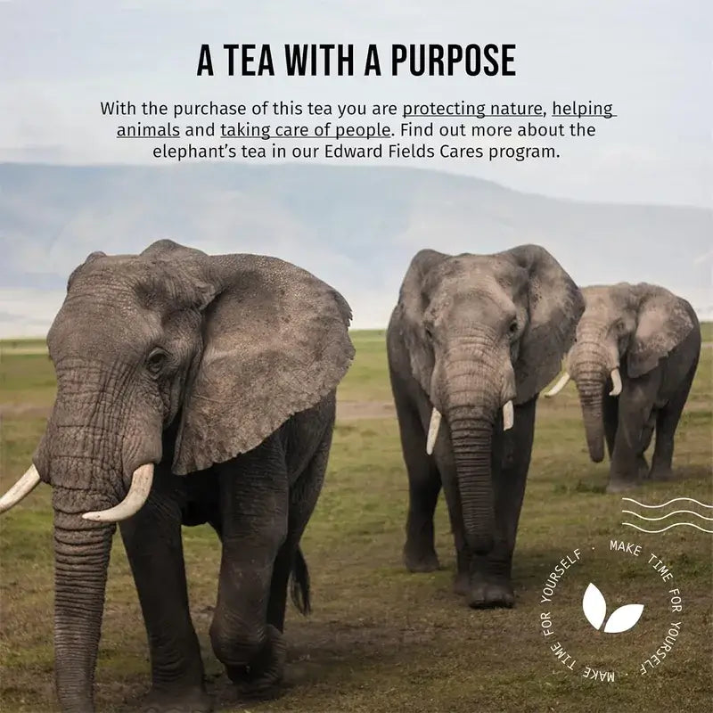 Edward Fields Tea Té Verde Ecológico A Granel Con Jengibre Y Limón, 100 gr