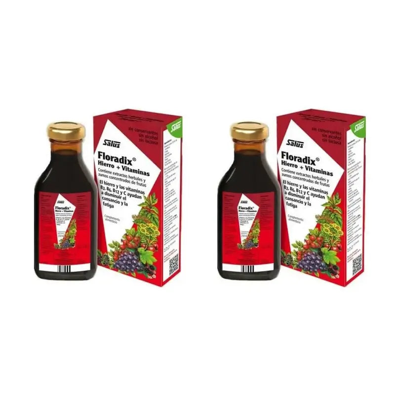 Floradix Floradix Hierro + Vitaminas, Pack De 2X500 Ml