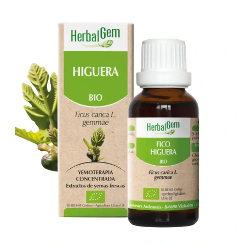 Herbalgem Higuera Gotas, 15 ml