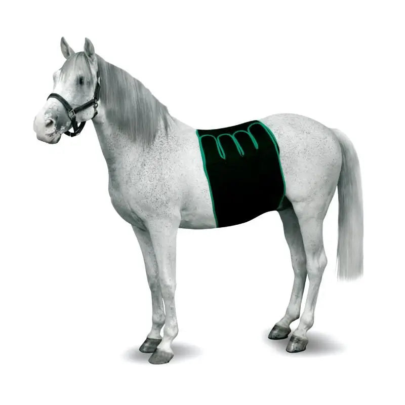Kruuse Equine Venda Recovery M