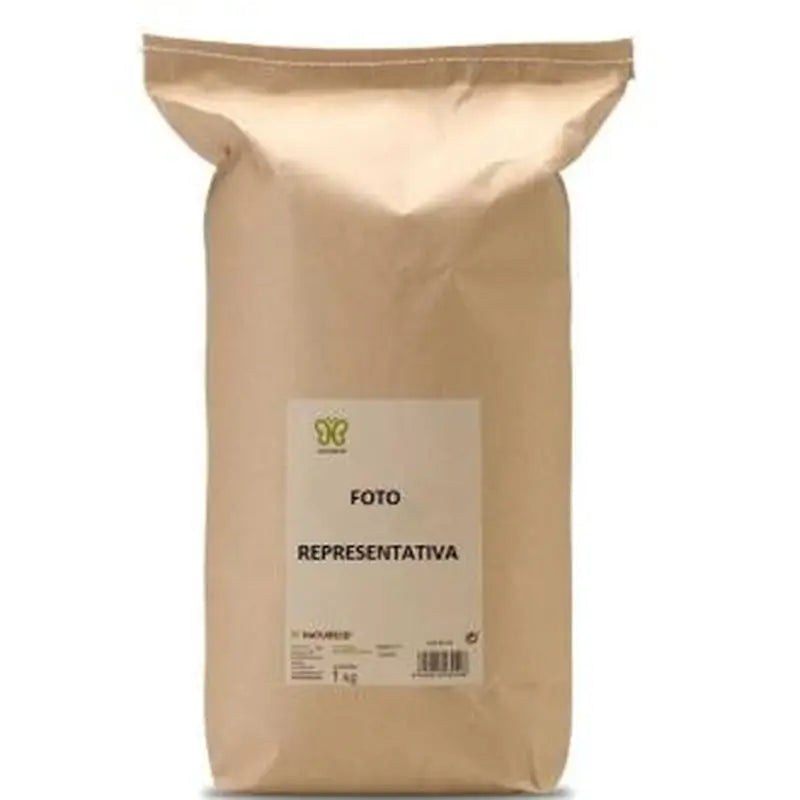 Naturcid Anis Estrellado 1Kg.