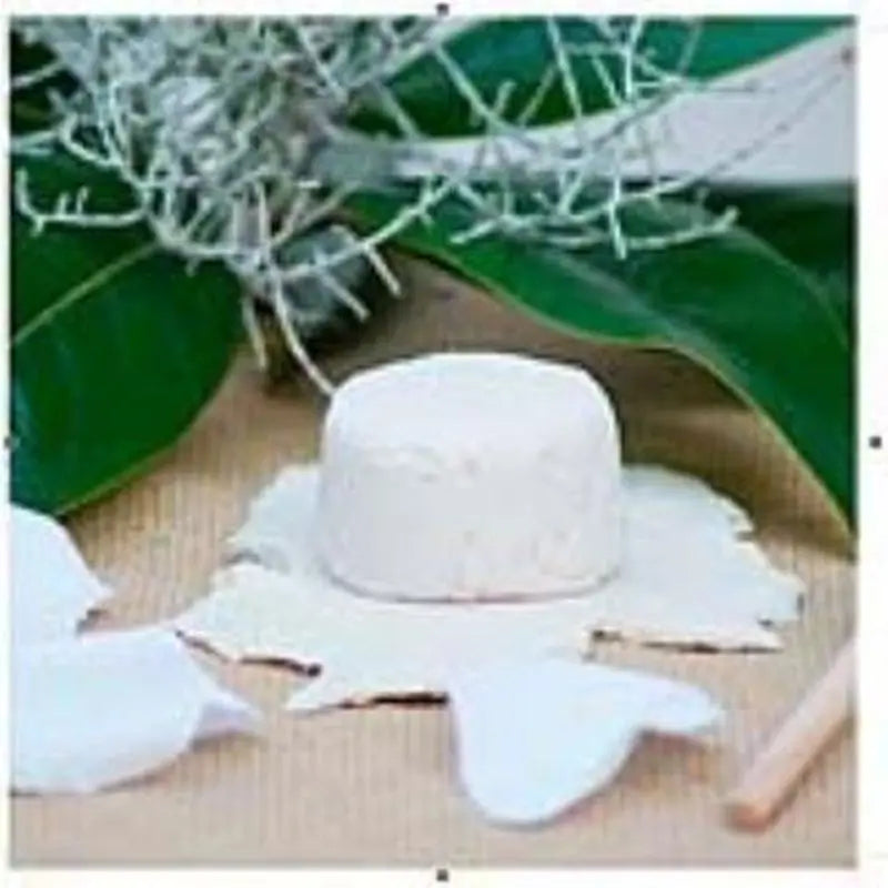 Nitx Champu Solido Nutritivo 85Gr.