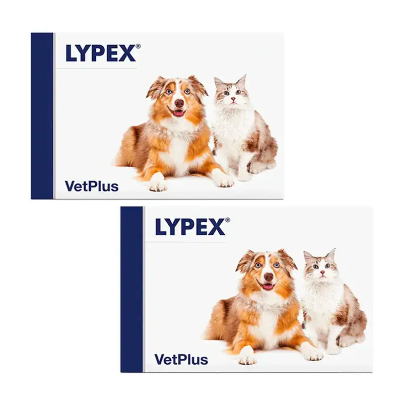 Lypex Blister, Pack 2 x 60 Cápsulas