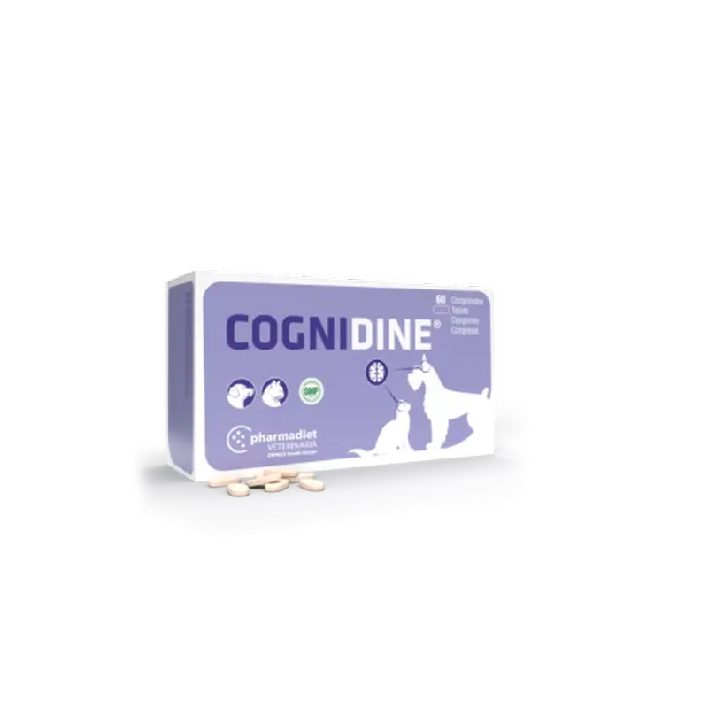 Cognidine, 60 Comprimidos