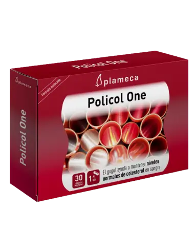 Almax Forte 1.5 gr 12 sobres Suspensión Oral