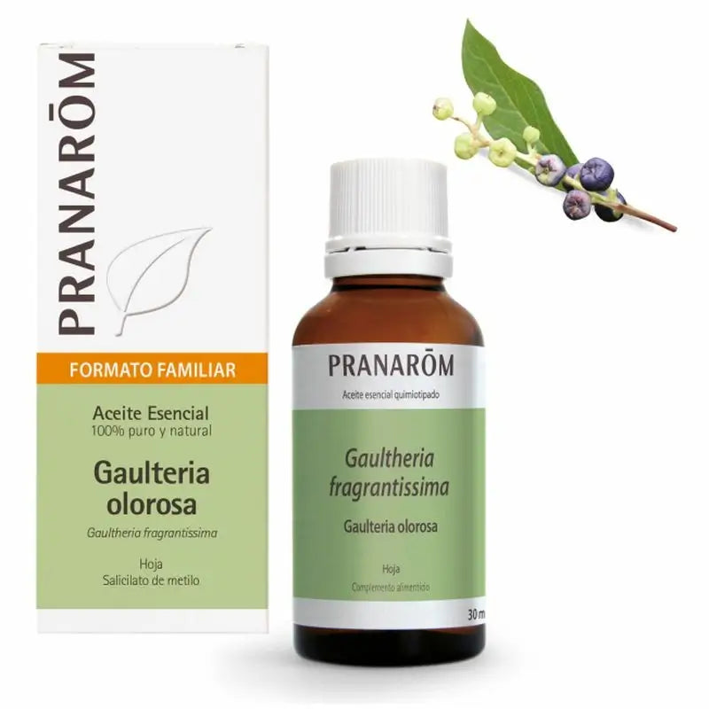 Pranarom Aceite Esencial Gaulteria Olorosa, 30ml