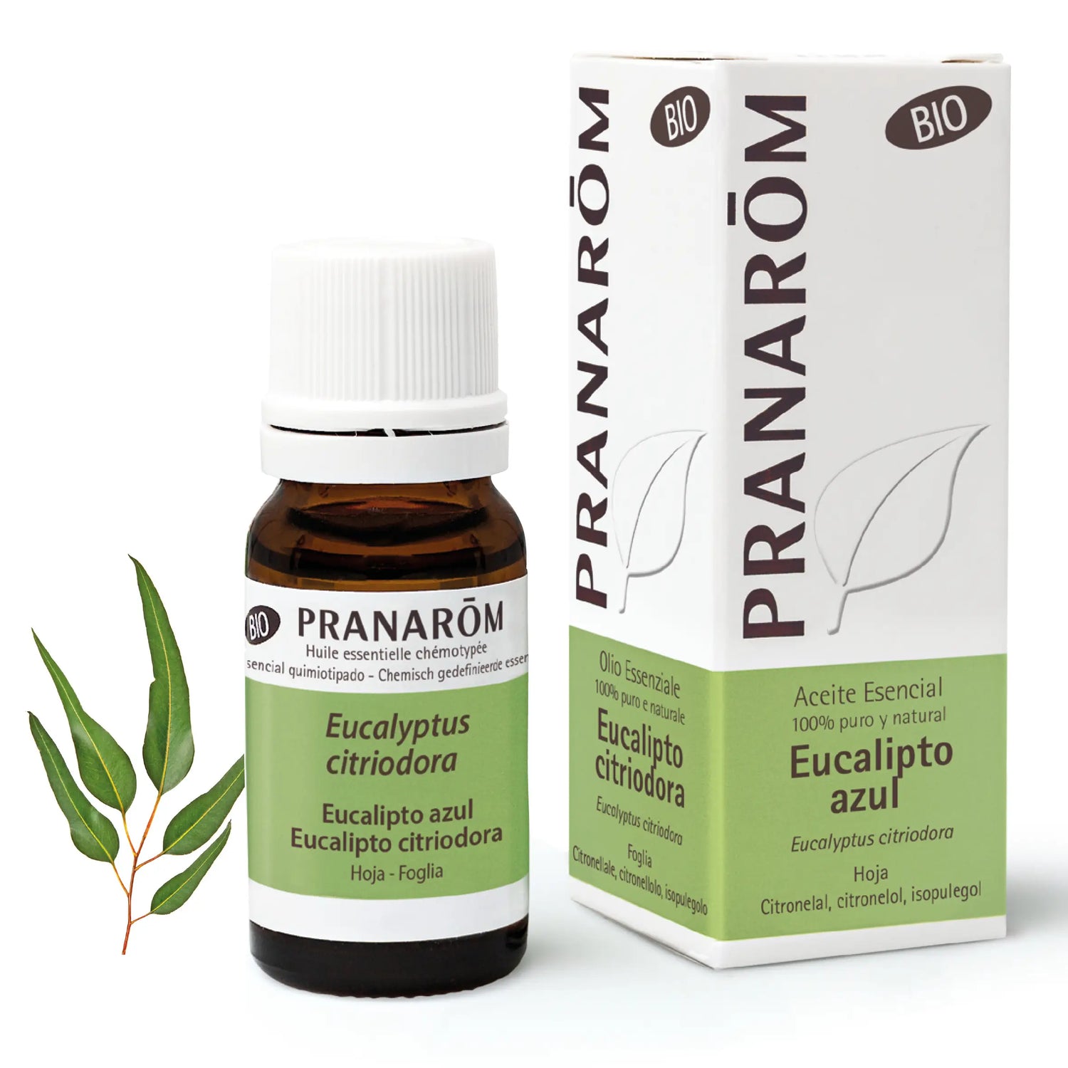 Pranarom Aceite Esencial Quimitipado Eucalipto Azul BIO Músculos y Articulaciones 100% Puro y Natural , 10 ml