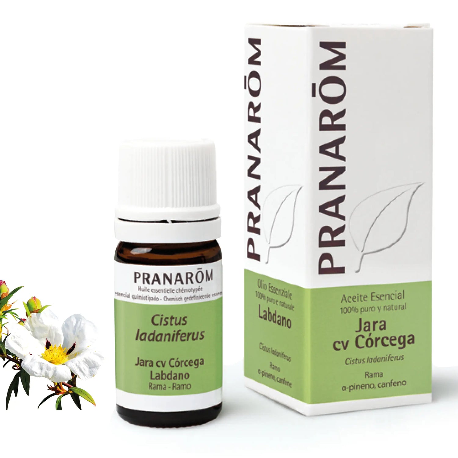 Pranarom Aceite Esencial Jara cv Córcega, 5ml