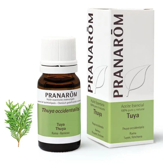 Pranarom Aceite Esencial Tuya, 10ml