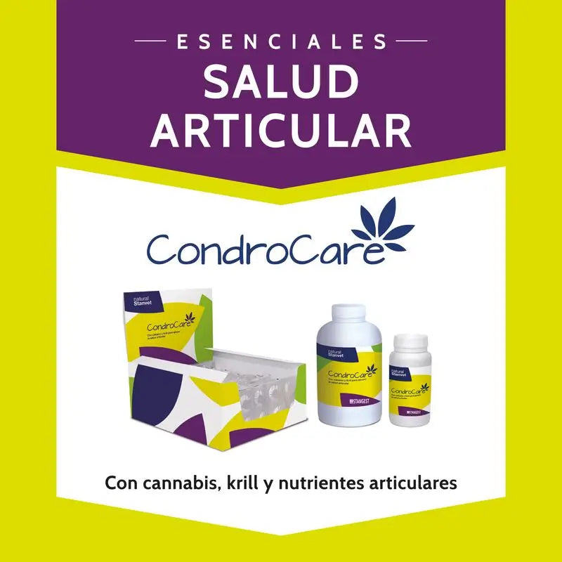 Stangest Condrocare 30 Comprimidos