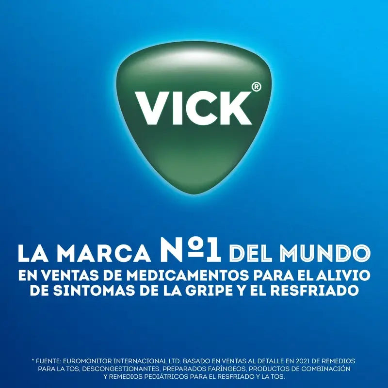 Vicks Vaporub Pomada Envase 100 G