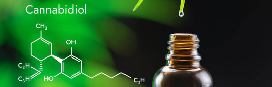 ¿Qué es el cannadibiol o CBD? Descubre sus beneficios y efectos secundarios