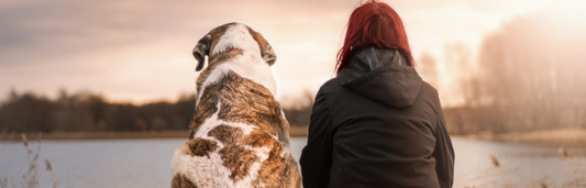 Lo que debes saber sobre la insuficiencia renal en perros
