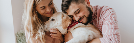 Stangest Cronicare para mascotas: Guía completa