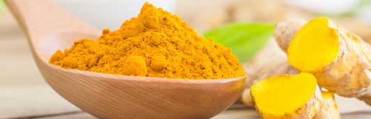 Cúrcuma: beneficios y contraindicaciones