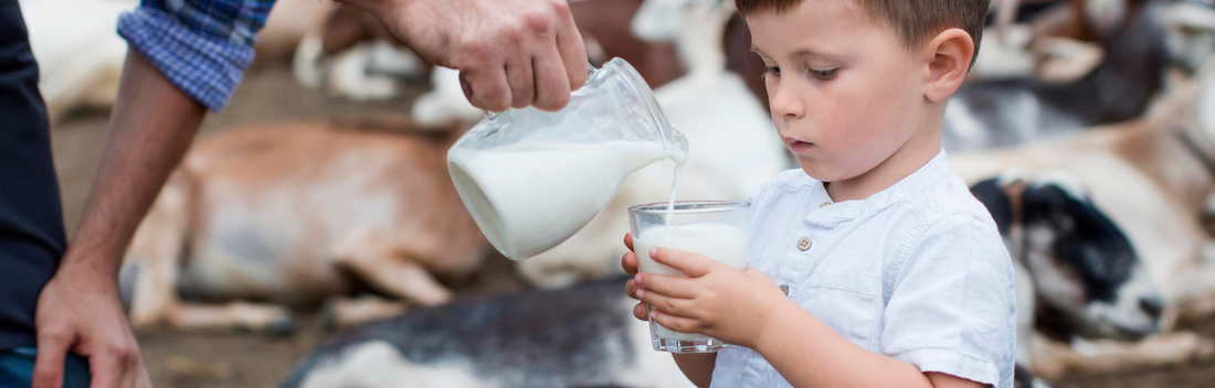 Leche de cabra para bebés