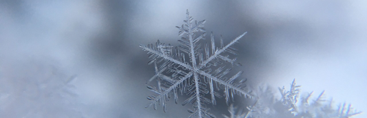 Invierno o Tempus Hibernum