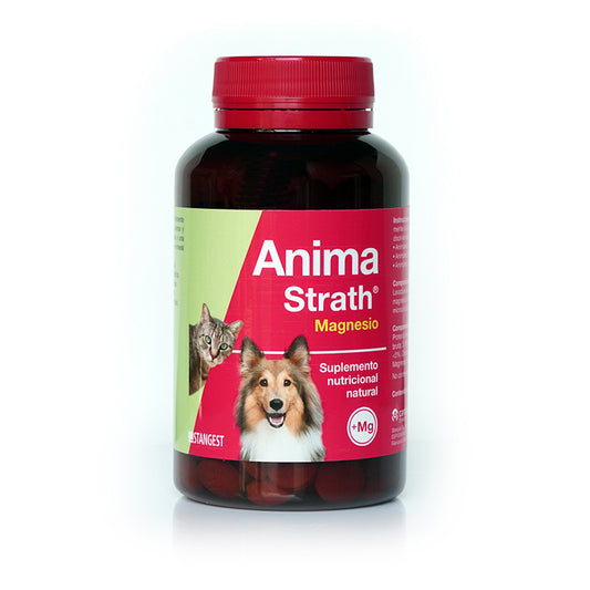 Stangest Anima Strath Magnesio, 240 Comprimidos