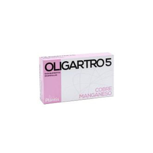 Artesania Oligartro 5 (Manganeso-Cobre) 20 Amp.