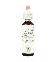 Bach Wild Rose 20 ml