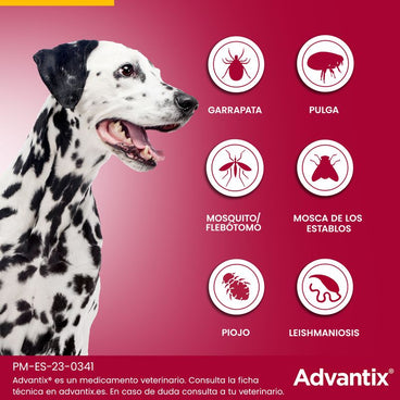 Advantix Pipetas Antiparasitarias Para Perros De 10 a 25 Kg 4Unidades x 2.5 ml