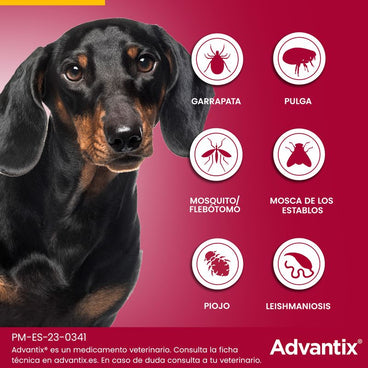 Advantix Pipetas Antiparasitarias Para Perros De 4 A 10 Kg 4 Unidades X 1 Ml