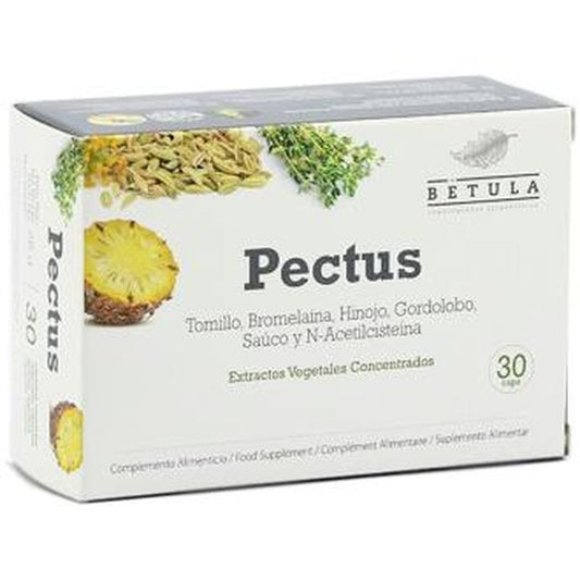 Betula Pectus 30Cap. 